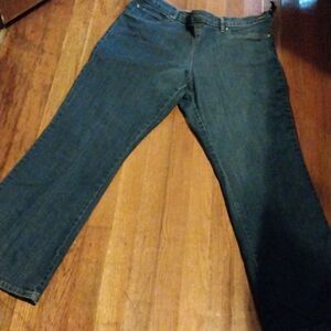 Passport Women Elastic  Waistband Jeans  No Zipper Size 16W